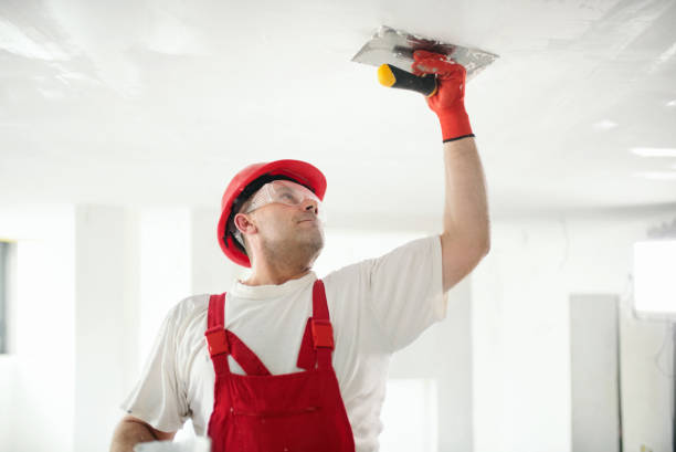 Asbestos and Lead Testing During Mold Inspection in University Center, VA